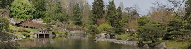 seattle japanese garden panorama